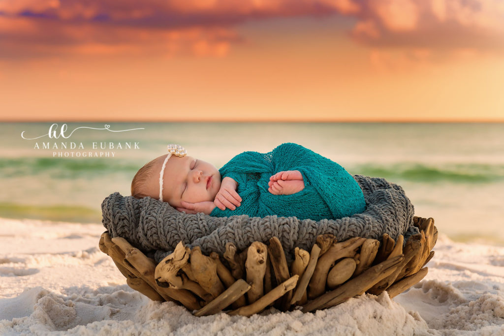 Santa Rosa Beach newborn portrait — sleeping newborn-in-the-driftwood-nest profile portrait; photographed by Amanda Eubank Photography along Florida’s Emerald Coast.