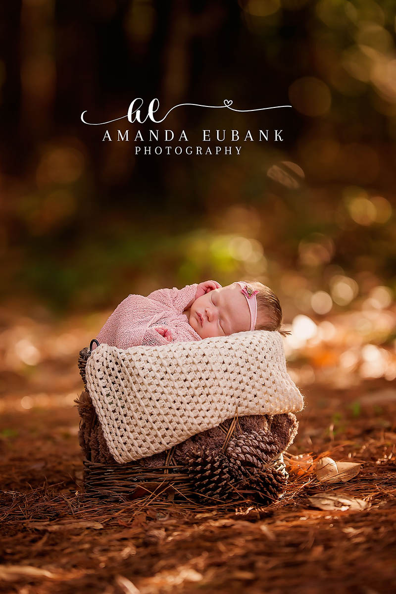 Eden Gardens Newborn Photographer