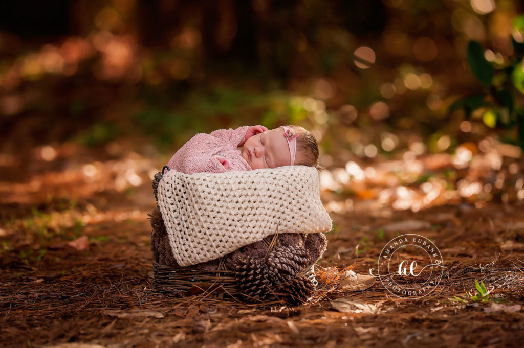 Baby Lucy in a pink wrap and bow headband sleeping in a cream knit blanket inside a wicker basket with pinecones