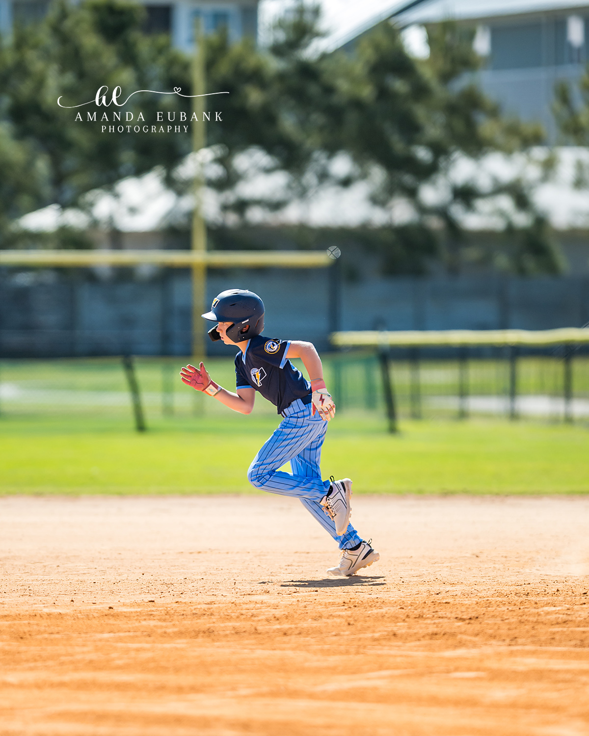 Destin Florida Youth Baseball Spring 2026 010 Destin Florida Youth Baseball Spring 2026 — dugout teammates spring season game vol1