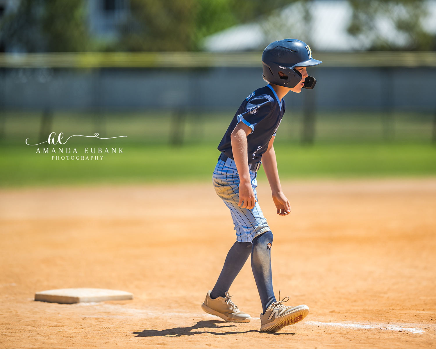 Destin Florida Youth Baseball Spring 2026 031 Destin Florida Youth Baseball Spring 2026 — dugout cheering spring season game vol1